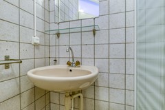 Liguster 77 Nieuwvliet-7.jpg